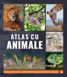 Atlas cu animale, Kreativ