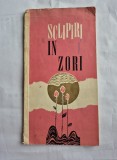 Sclipiri in zori - creatii ale pionierilor din municipiul Satu Mare, 1969