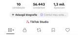 V&acirc;nd Cont Tiktok 56K Followeri- Nișă Tradiții/Produse Bio/Pensiuni