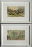 Set 2 Tablouri Toader Schipor 1975, Peisaje Padurea Poieni Iași, picturi &icirc;n acuarele, &icirc;nrămate 23x32cm