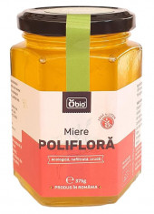 Miere Poliflora Cruda Nefiltrata Bio 375 grame Obio foto
