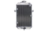 Radiator pentru YAMAHA YFM 660 2001-2005