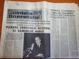 Scanteia tineretului 7 mai 1984-articol si foto nadia comaneci