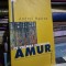 PE VREMEA FLUVIULUI AMUR-ANDREI MAKINE