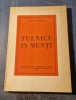 Tulnice in Munti Vlaicu Barna