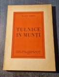 Tulnice in Munti Vlaicu Barna