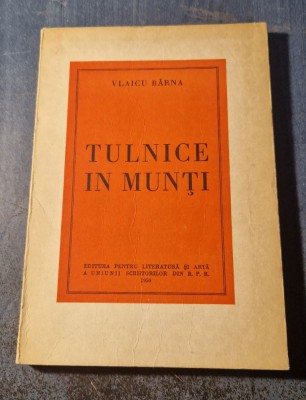 Tulnice in Munti Vlaicu Barna foto