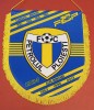 Fanion (oficial-produs nou) FC PETROLUL PLOIESTI