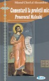 Cumpara ieftin Sfantul Chiril al Alexandriei - Comentarii la profetii mici. Proorocul Maleahi