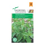 Seminte legume busuioc AS-PG2