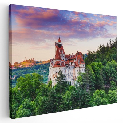 Tablou Castelul Bran la apus, Romania, verde 1531 Tablou canvas pe panza CU RAMA 20x30 cm foto