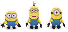 MINIONS - Plus 12-17 cm, div. pers. foto