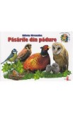 Pasarile din padure - Silvia Ursache