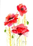 E92. Tablou original, Maci-3, 2023, acuarela pe hartie, neinramat, 21x29 cm, Flori, Impresionism, RavariuArt