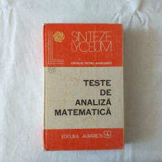 C. P. Nicolescu - Teste de analiza matematica