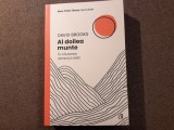 David Brooks Al doilea munte In cautarea sensului vietii