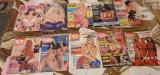 Lot reviste pentru adulti