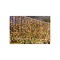 Perdea Extensibila 204 LED 21.6W lumina rece LR 6400K 4M