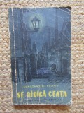 Constantin Neagu - Se ridica ceata