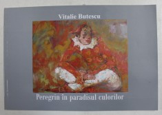 PEREGRIN IN PARADISUL CULORILOR de VITALIE BUTESCU foto