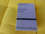 Liebesbriefe an Lidij - Maiakovskij