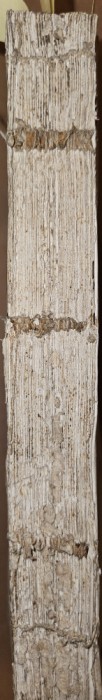 Orthodoxos Didaskalia (INVATATURA ORTODOXA),BUC ,1769 ,LIMBA GREACA