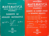 Matematica Manual pentru clasa a XI-a 2 volume, Mircea Ganga