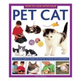 How To Look After Your Pet Cat A Practical Guide To Caring For Your Pet In Stepbystep Photographs