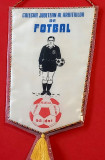 Fanion fotbal-oficial-Colegiul Judetean al Arbitrilor-Fotbal PRAHOVA(25x26 cm)