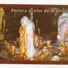 RF21 -Carte Postala- Pestera Ursilor de la Chiscau, necirculata