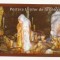 RF21 -Carte Postala- Pestera Ursilor de la Chiscau, necirculata