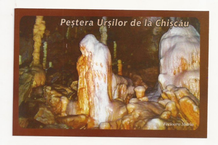 RF21 -Carte Postala- Pestera Ursilor de la Chiscau, necirculata