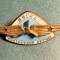 Insigna VVS URSS instructor aviatie
