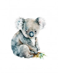 Sticker decorativ Koala, Gri, 69 cm, 3822ST foto