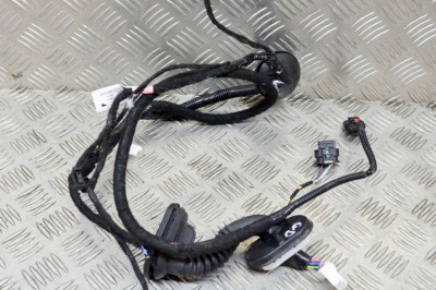 Cablaj ușă dreapta spate TESLA MODEL 3 2019 OEM: 3067966-00-A 13776211 foto