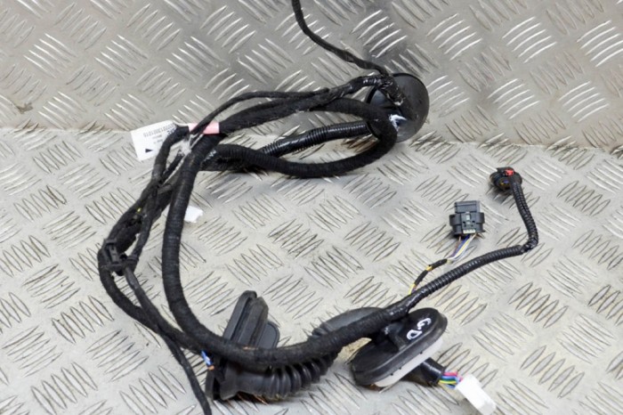Cablaj ușă dreapta spate TESLA MODEL 3 2019 OEM: 3067966-00-A 13776211