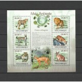 MOZAMBIC 2010 FAUNA ANIMALE SALBATICE FELINE