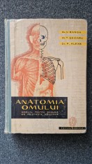 ANATOMIA OMULUI - Ranga, Seicaru