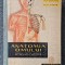 ANATOMIA OMULUI - Ranga, Seicaru