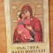 Psaltirea Maicii Domnului 2002