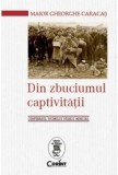 Cumpara ieftin Din zbuciumul captivitatii. Centenarul Primului Razboi Mondial/Gheorghe Caracas, Corint