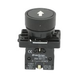 Buton de comanda cu revenire negru 1NO, 400V/10A, LAY5 Breckner