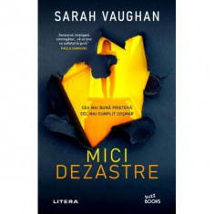 Mici dezastre - Paperback brosat - Dana-Ligia Ilin, Sarah Vaughan - Litera