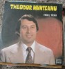 Vinil 1 Vinyl Electrecord Teodor Munteanu