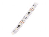 Bandă LED RGBW 5050 12V 60 LED/m 12mm PCB Albă