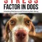 The Stress Factor in Dogs: Unlocking Resiliency and Enhancing Well-Being
