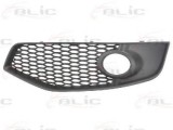 Grila ventilatie, bara protectie AUDI A3 (8P1) (2003 - 2012) BLIC 6502-07-0026921P