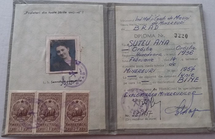 QW13 1 7 - 1954 - Diploma absolvire - Scoala medie tehnica de minereuri