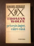 Thomas Wolfe - Privește, &icirc;nger, către casă (istorie a vieții &icirc;ngropate)