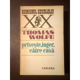 Thomas Wolfe - Privește, &icirc;nger, către casă (istorie a vieții &icirc;ngropate)